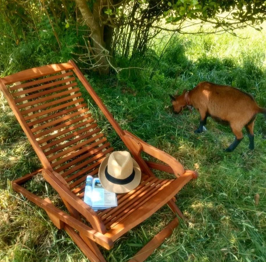 موتشيا Casa Rural Lineiros المظهر الخارجي الصورة